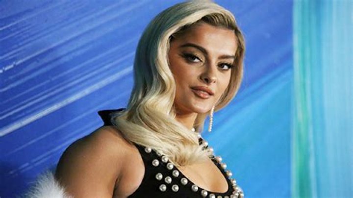 Bebe Rexha’s Thanksgiving Halftime Performance Was Stuffed With Hits – Hollywood Life