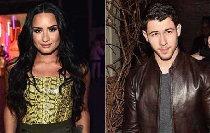 Demi Lovato Unfollows Nick Jonas On Instagram After Doing Same To Selena Gomez Post-Rehab