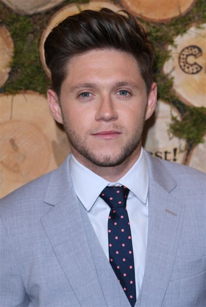 Did Niall Horan Dye His Hair Blonde Again? Fans Think So — See Pic – Hollywood Life