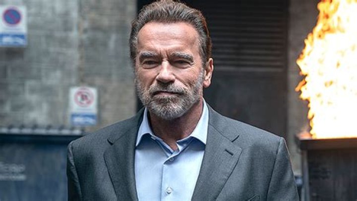 Everything To Know About Arnold Schwarzenegger’s Netflix Show – Hollywood Life