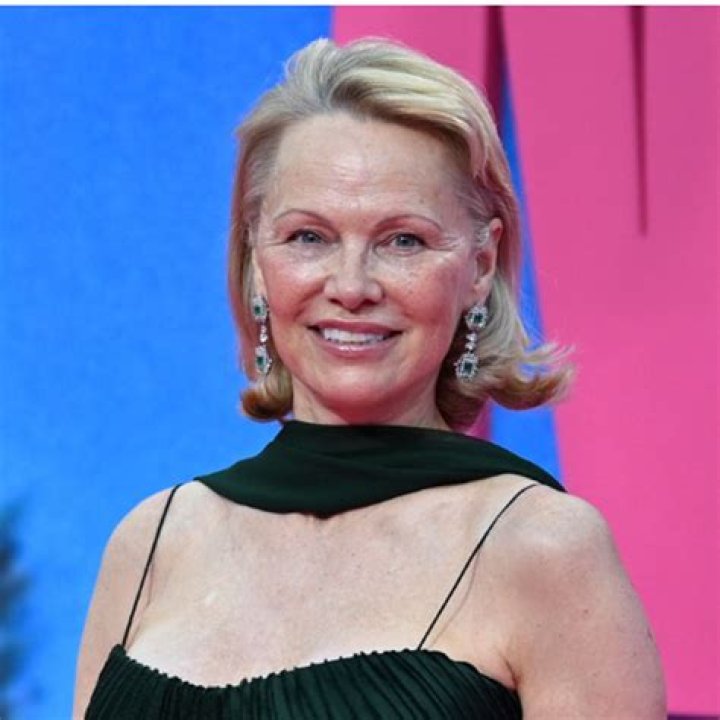 Pamela Anderson Looks Super Young — Expert Weighs In On If She Got Plastic Surgery