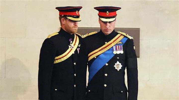 Prince Harry Admits It Was ‘Terrifying’ To Have Prince William ‘Scream’ At Him In Tense Family Meeting