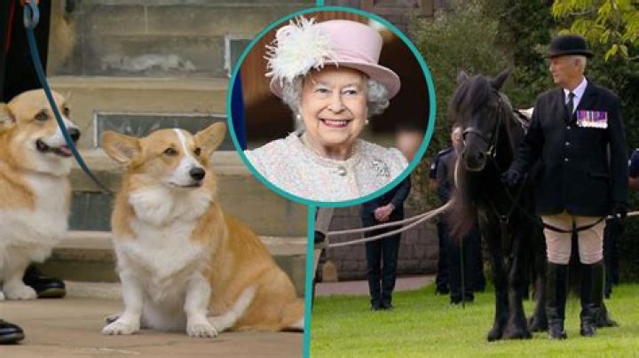 Prince William Confirms Queen Elizabeth’s Corgis Are ‘Going To Be Looked After’