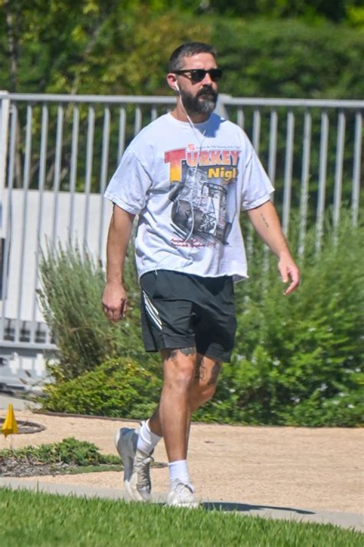 Shia LaBeouf Got Into A Fight With Homeless Man Hours Before Arrest