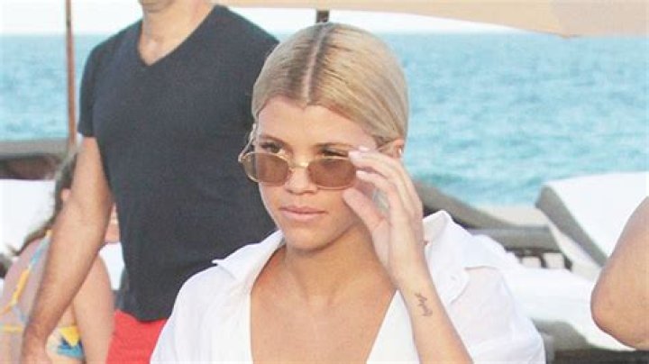 Sofia Richie Wears Green Bikini While Swimming With Pigs On Vacation – Hollywood Life